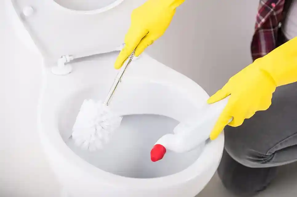 How To Clean a Toilet