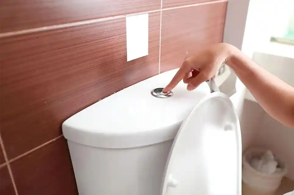 How To Clean a Toilet